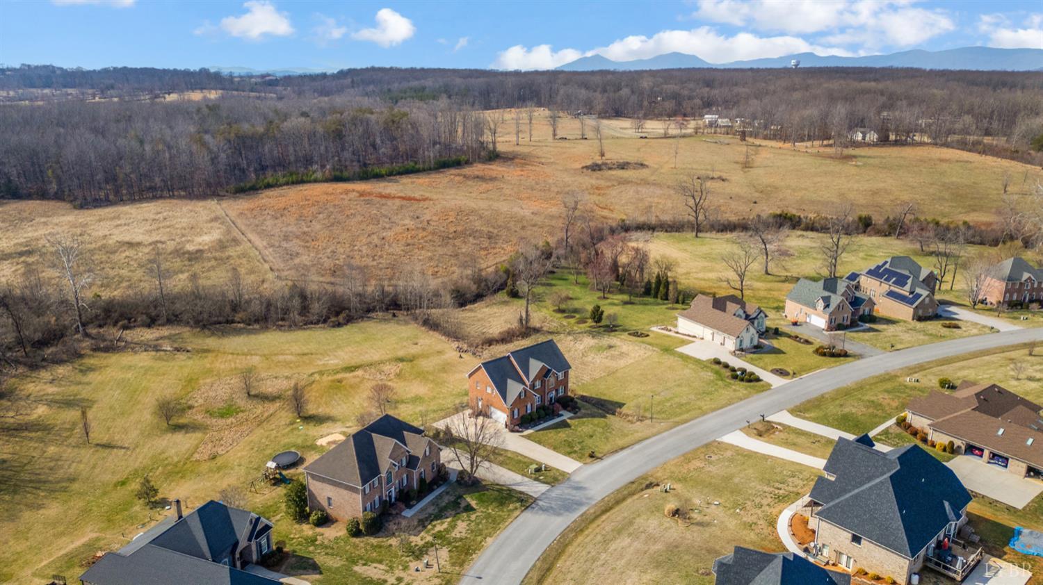 2175 Colby Drive Forest, VA 24551 - Photo 89 of 94