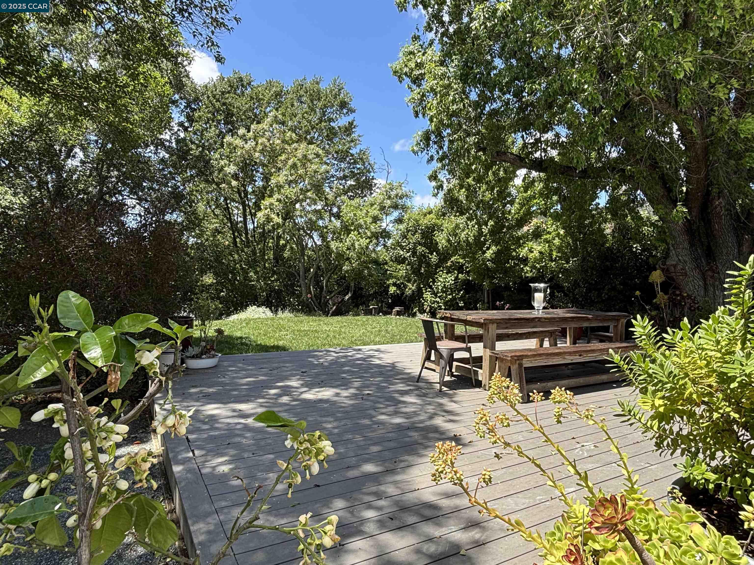 1069 Carol Lane Lafayette, CA 94549 - Photo 10 of 16 Large Deck perfect for outdoor dining under the cafe lights or stars.