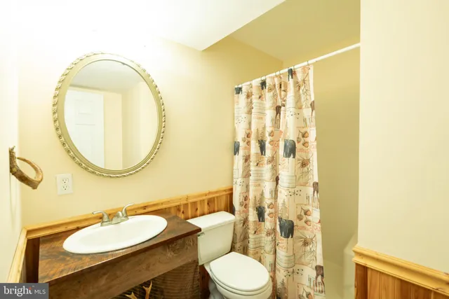 a bathroom with a toilet a sink and a mirror