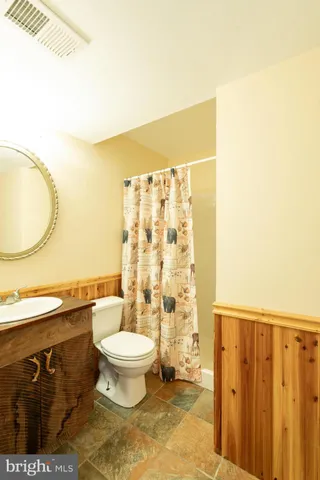 a bathroom with a sink a toilet and a shower