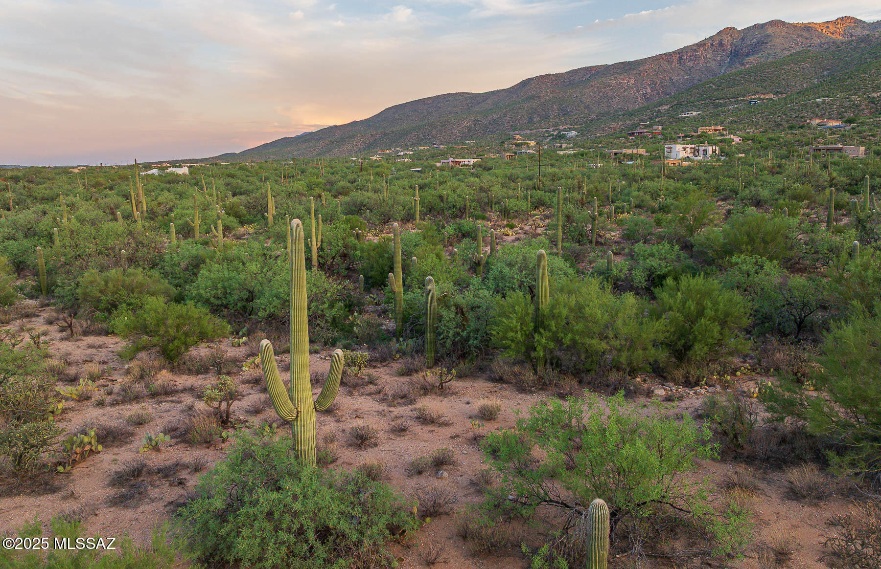 12550 East Horsehead Road Tucson, AZ 85749 - Photo 21 of 29