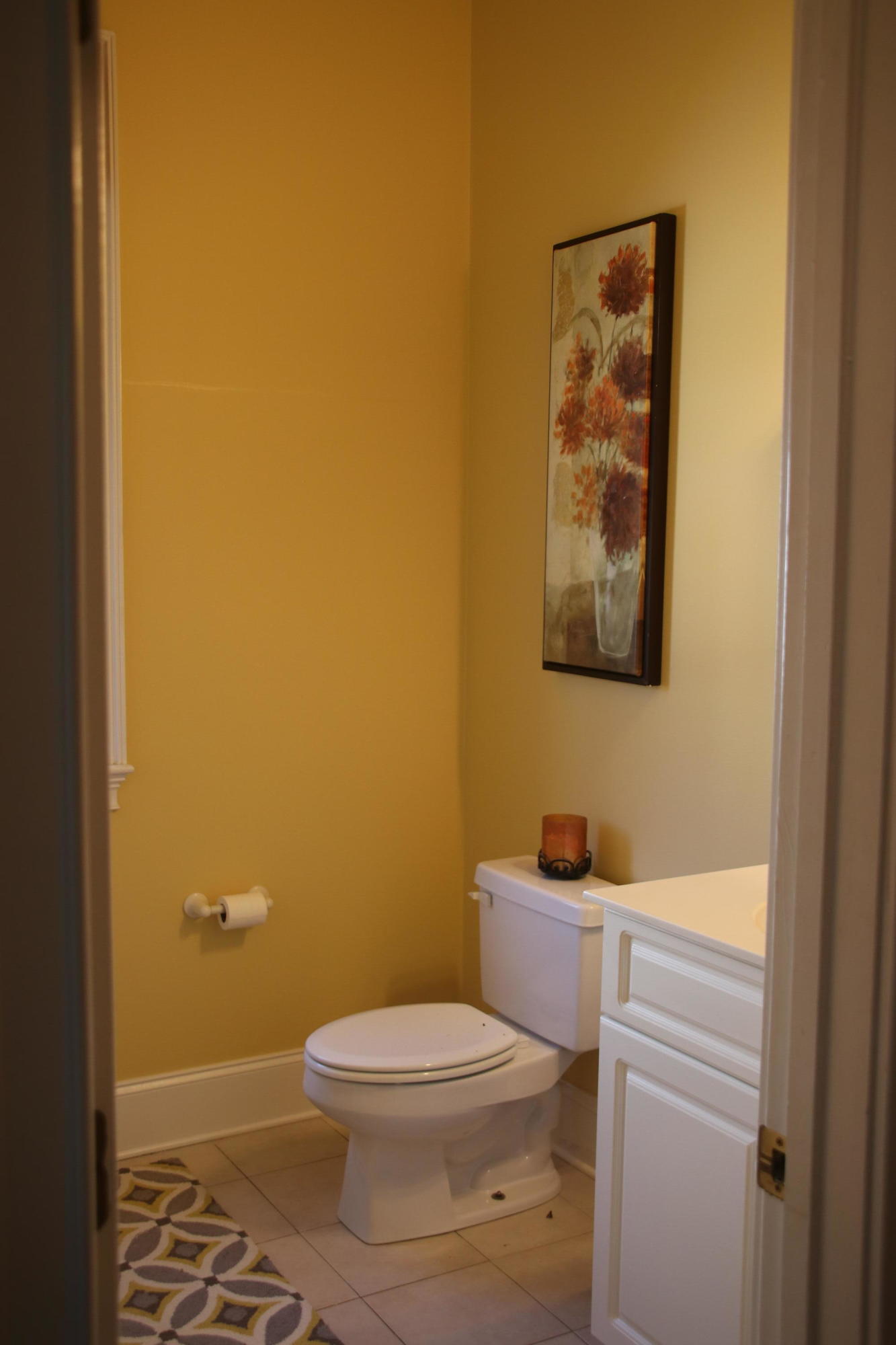 1191 Quick Rabbit Loop Charleston, SC 29414 - Photo 24 of 30 IMG_1894
