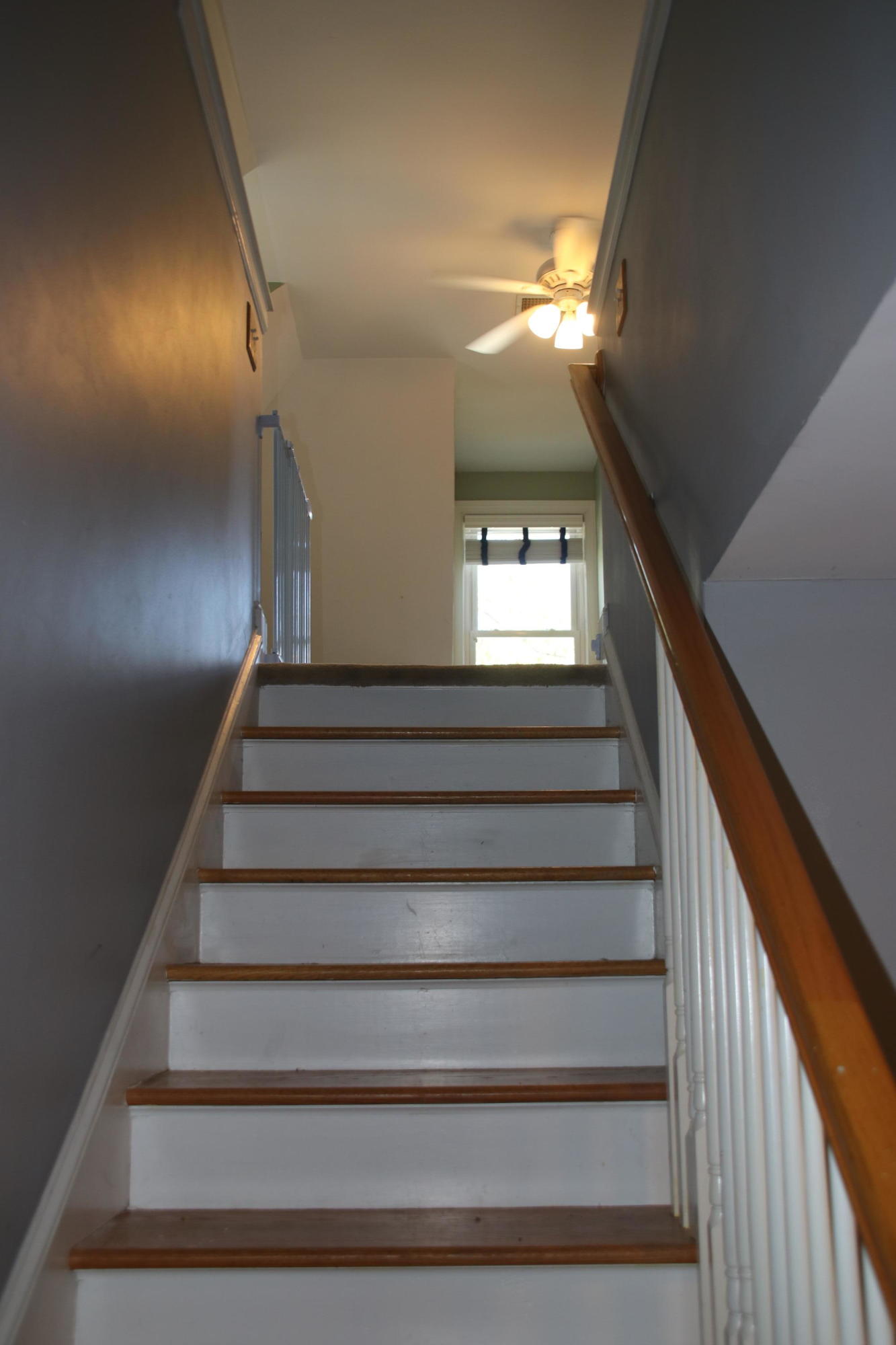 1191 Quick Rabbit Loop Charleston, SC 29414 - Photo 26 of 30 IMG_1909
