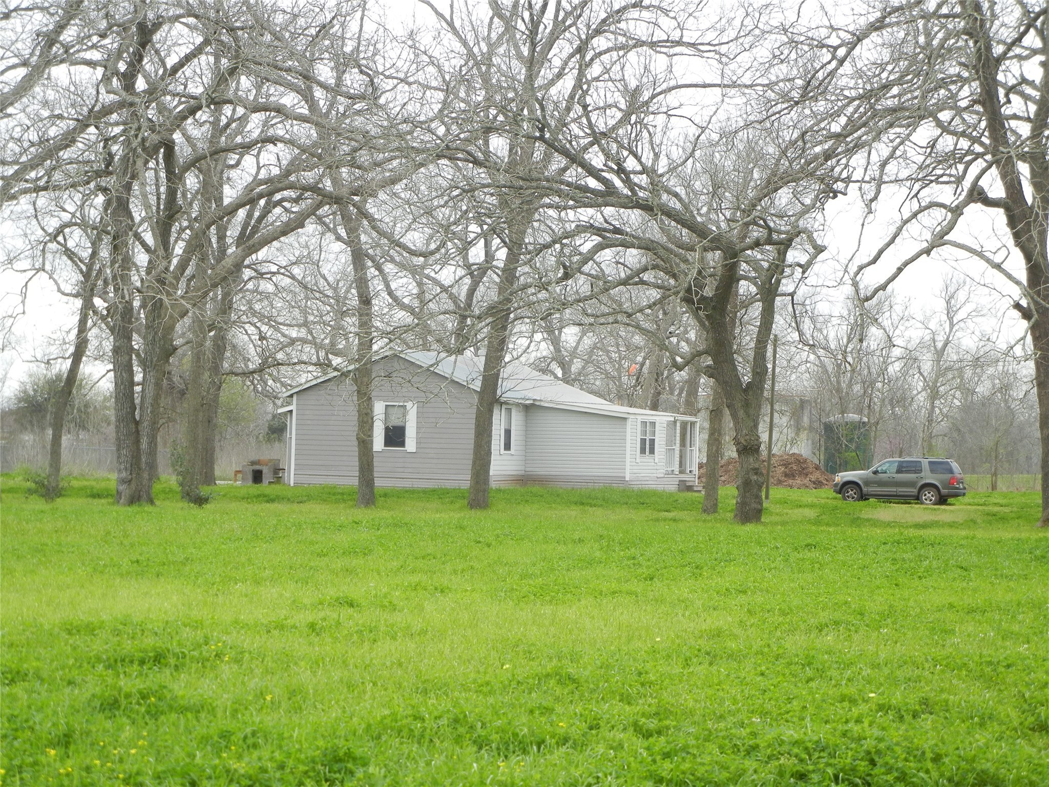 1645 Peach Ridge Road Brookshire, TX 77423 - Photo 24 of 42 Large pecans