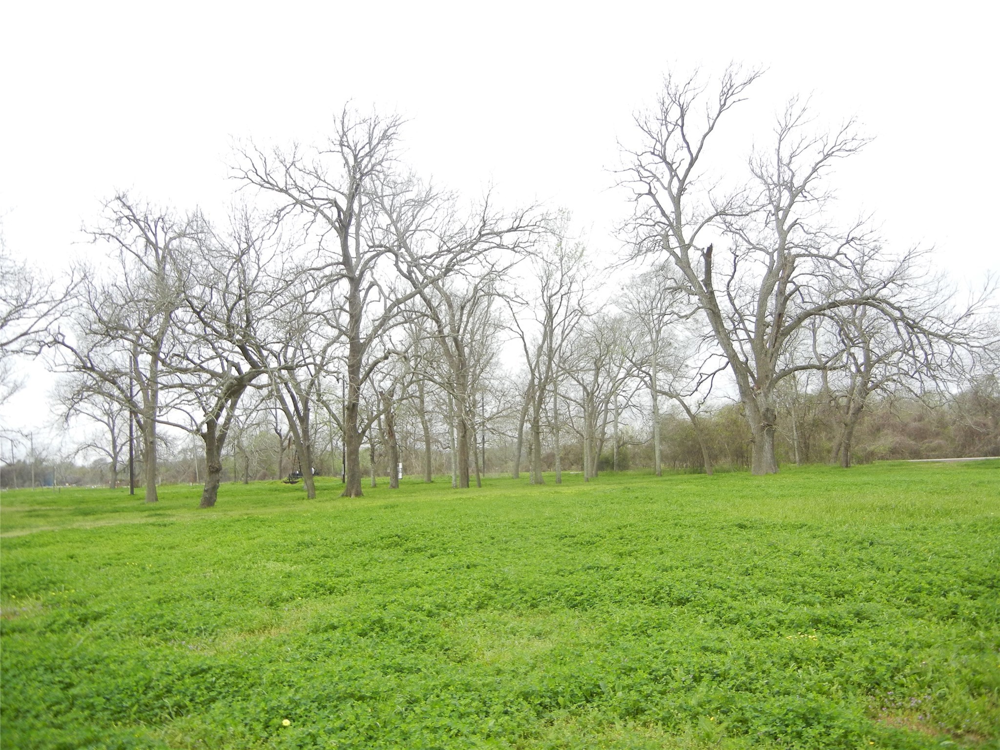 1645 Peach Ridge Road Brookshire, TX 77423 - Photo 26 of 42