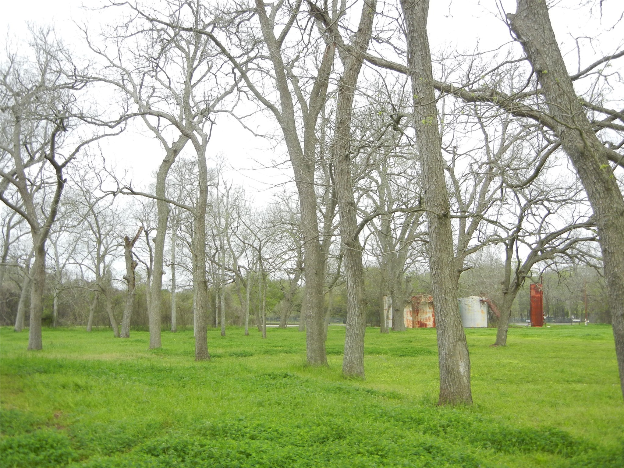 1645 Peach Ridge Road Brookshire, TX 77423 - Photo 39 of 42