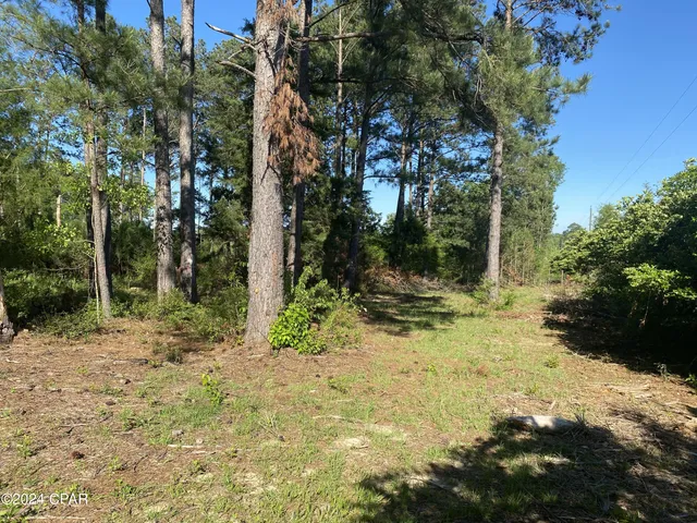 $21,440 | 2341 Sweetgum Drive, Bonifay, FL 32425
