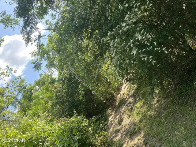 $21,440 | 2341 Sweetgum Drive, Bonifay, FL 32425