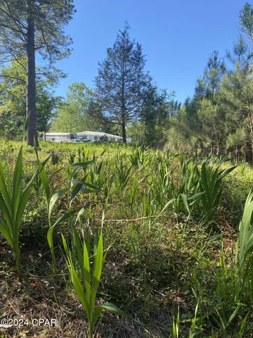 $21,440 | 2341 Sweetgum Drive, Bonifay, FL 32425