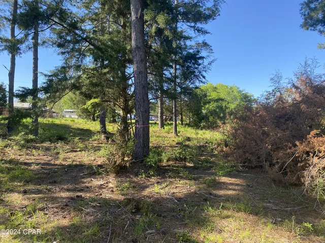 $21,440 | 2341 Sweetgum Drive, Bonifay, FL 32425