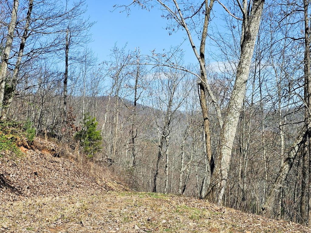 Lot 39 Merlin Trail Murphy, NC 28906 - Photo 7 of 21