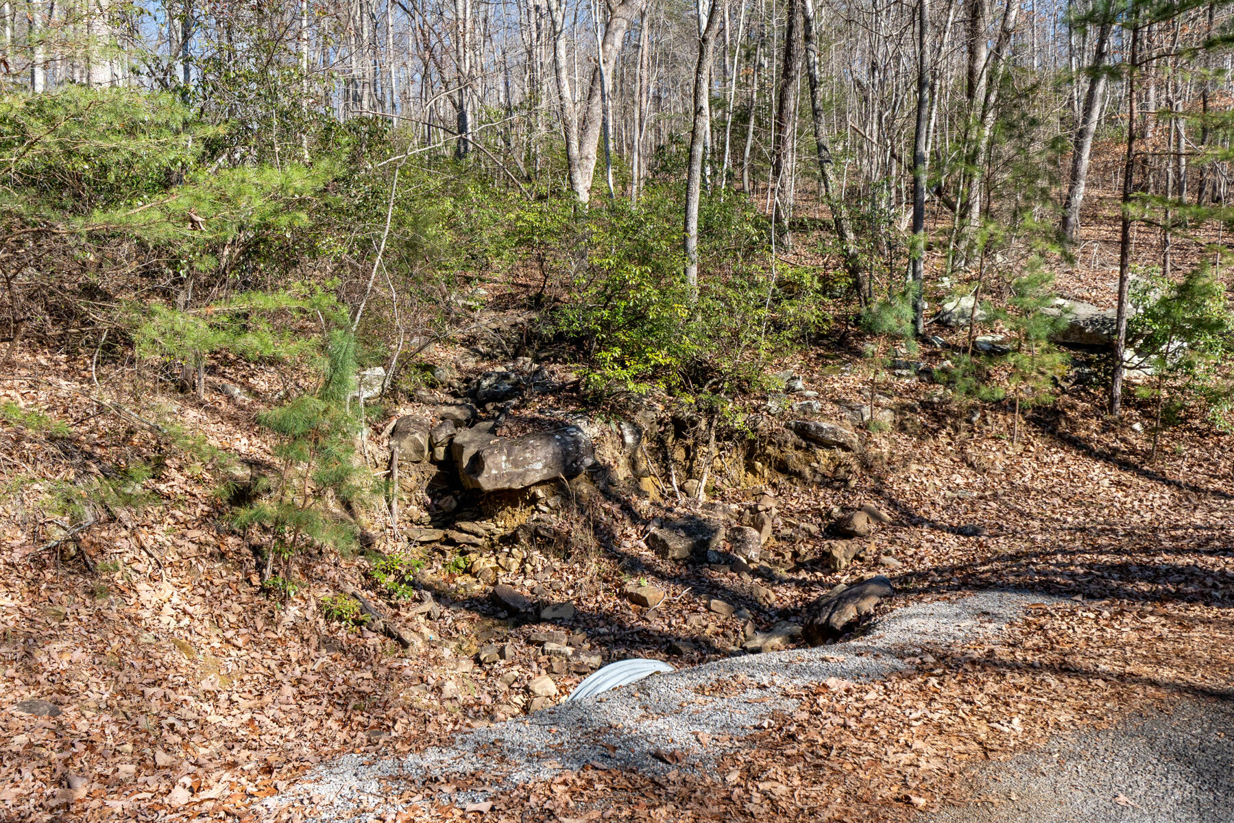0 Tall Tree Trail, Unit 406 Dunlap, TN 37327 - Photo 17 of 22 dsc03080
