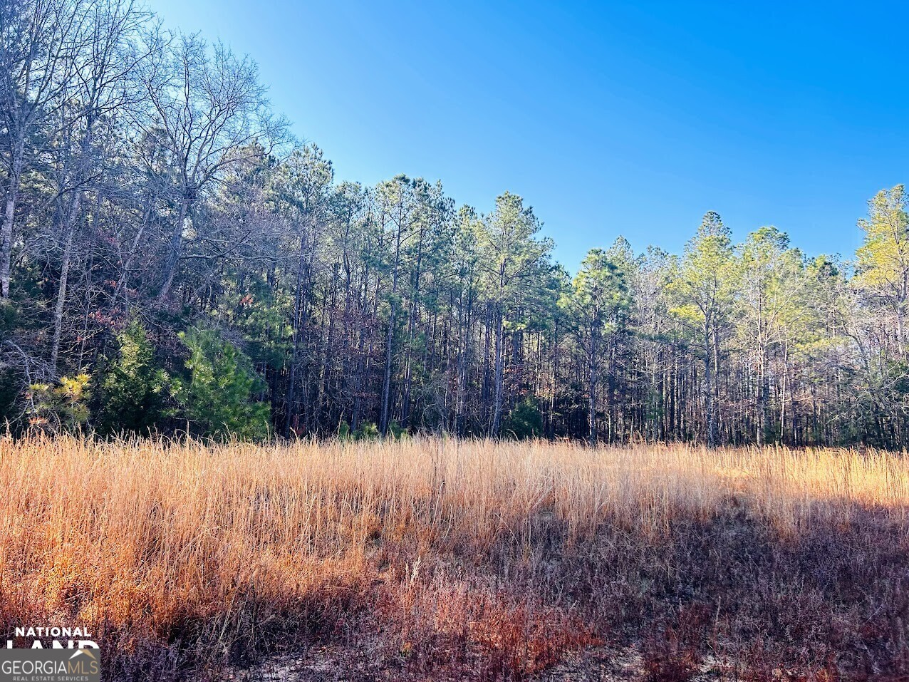 a view of a yard with wooden fence