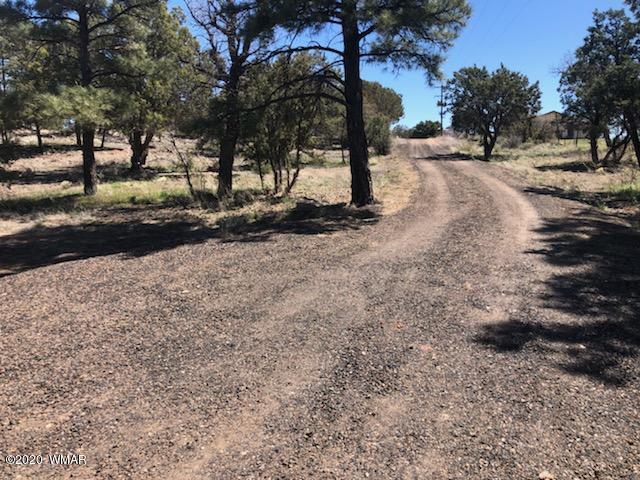 Tbd Old School House Road Show Low, AZ 85901 - Photo 2 of 10