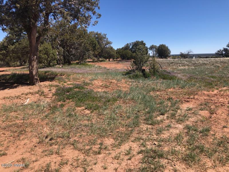 Tbd Old School House Road Show Low, AZ 85901 - Photo 5 of 10