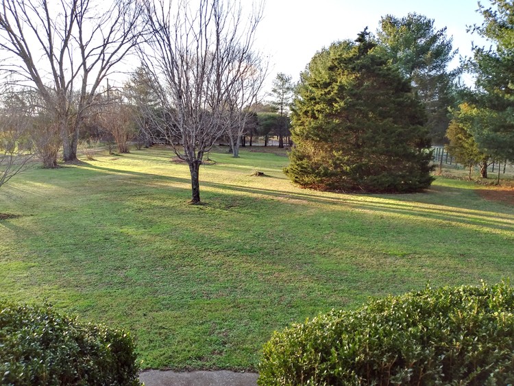 7137 Miller Road Christiana, TN 37037 - Photo 2 of 17 Gallery Image 2