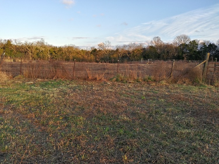 7137 Miller Road Christiana, TN 37037 - Photo 16 of 17 Gallery Image 16