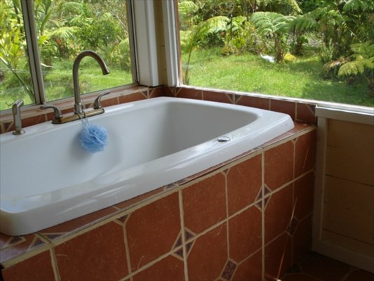 11-2447 Kaleponi Road Mountain View, HI 96771 - Photo 13 of 21 Gallery Image 13