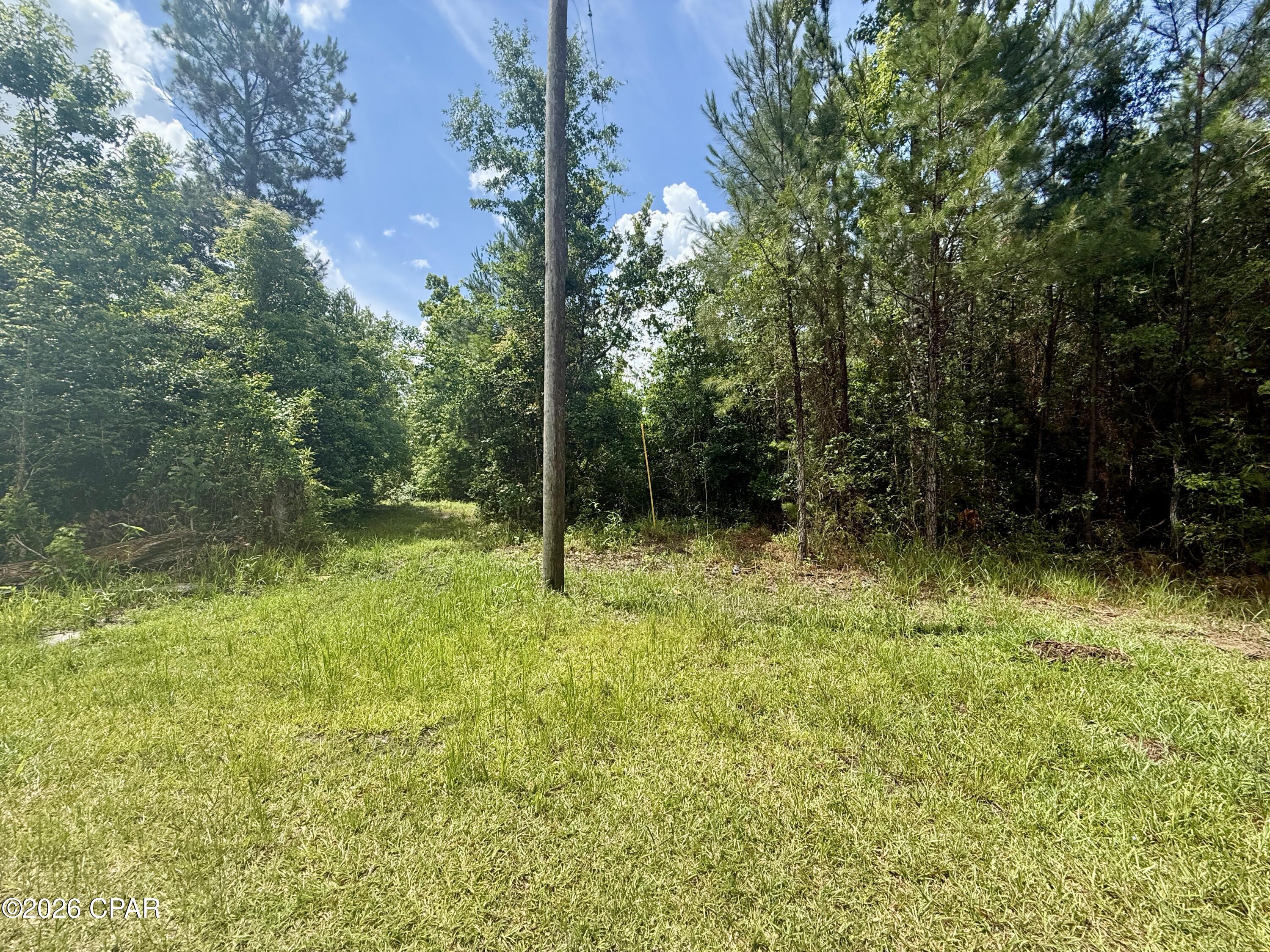 14567 C J Roberts Road Blountstown, FL 32424 - Photo 30 of 38