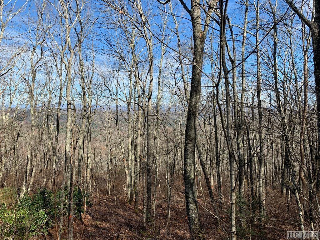 137 Teton Point Franklin, NC 28734 - Photo 16 of 27 Gallery Image 16