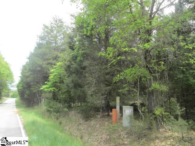 Ferry Road Waterloo, SC 29384 - Photo 1 of 3