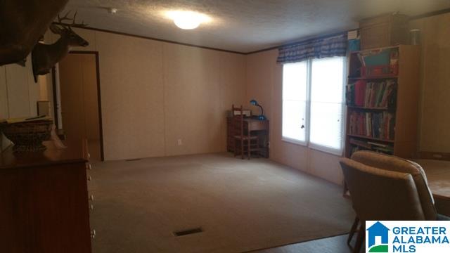 1015 Hamilton Road Pell City, AL 35128 - Photo 7 of 37