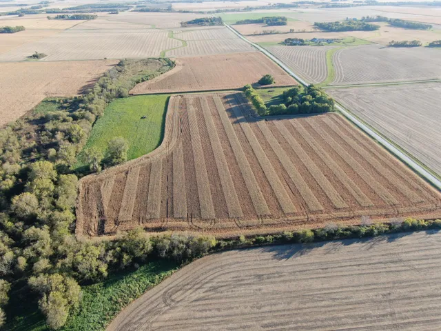 $975,000 | Tbd 270th Avenue Southwest, Hayfield, MN 55940