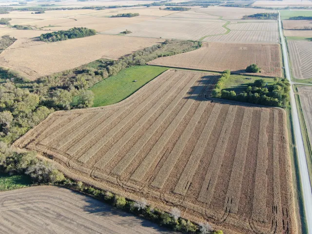 $975,000 | Tbd 270th Avenue Southwest, Hayfield, MN 55940