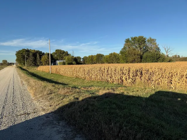 $975,000 | Tbd 270th Avenue Southwest, Hayfield, MN 55940