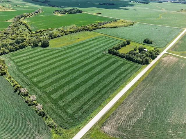$975,000 | Tbd 270th Avenue Southwest, Hayfield, MN 55940