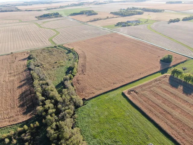 $975,000 | Tbd 270th Avenue Southwest, Hayfield, MN 55940