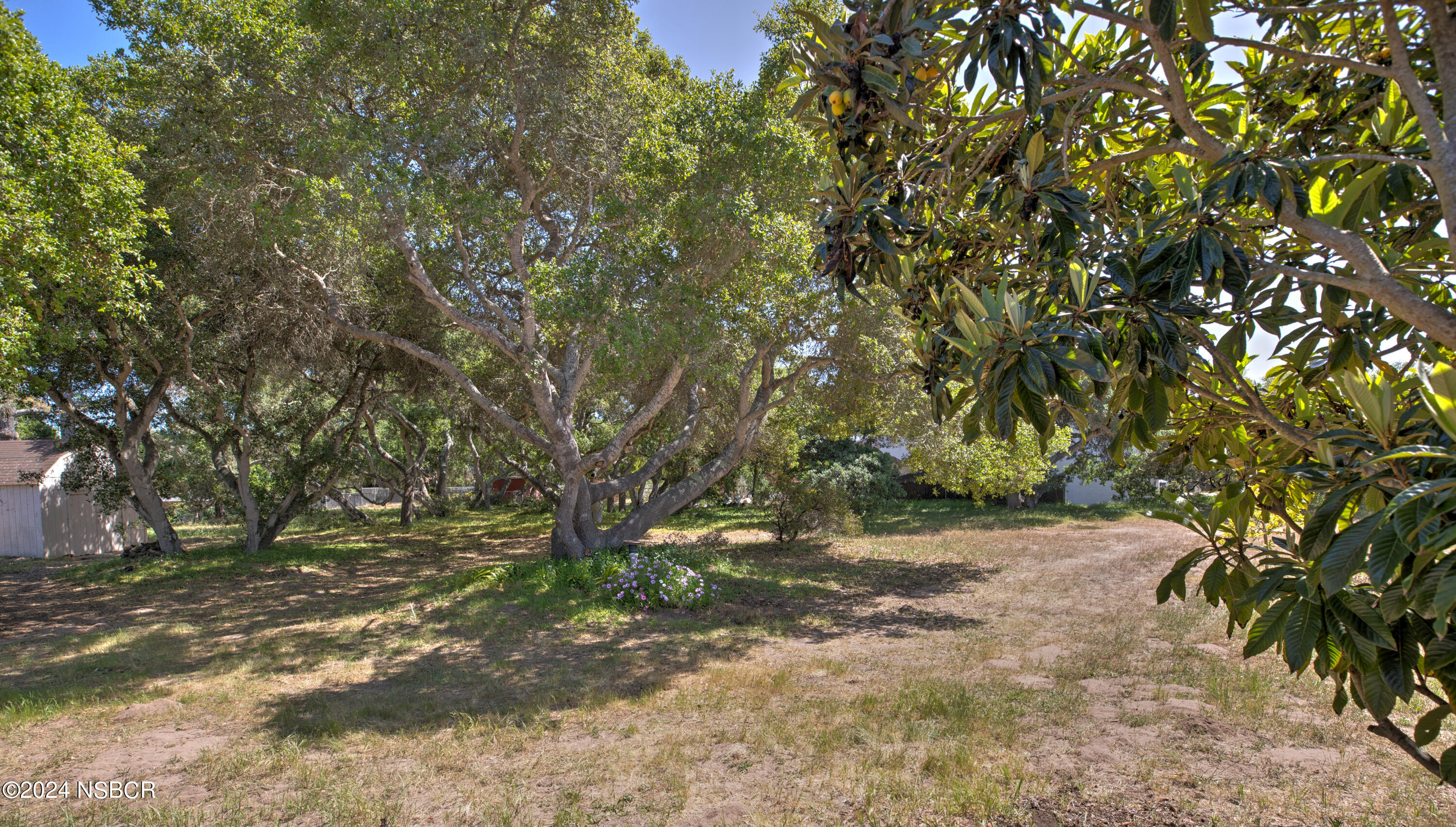 2950 Oak Pointe Drive Lompoc, CA 93436 - Photo 5 of 36 Tom Hinkens-4