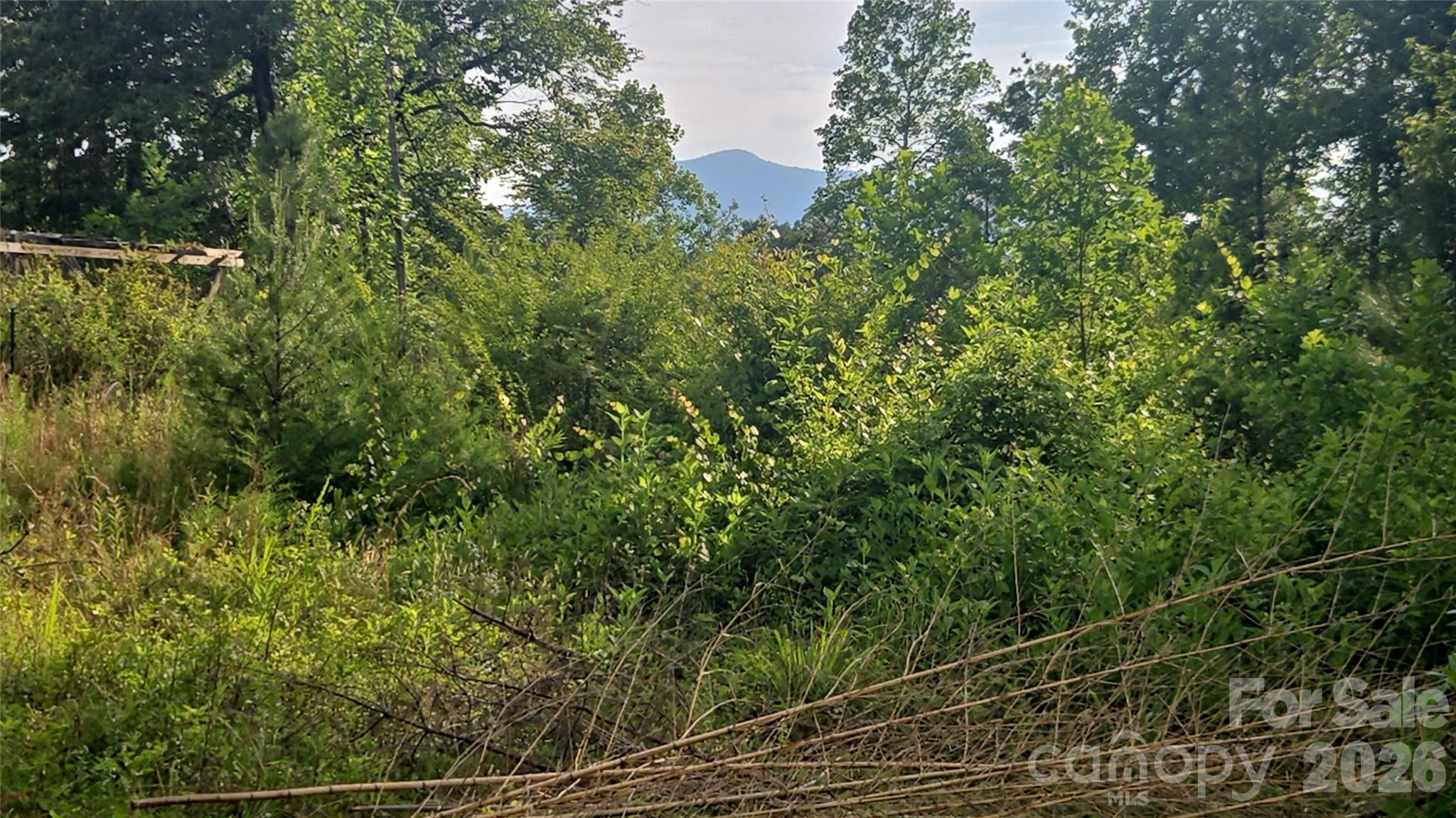 66 Misery Ridge Mill Spring, NC 28756 - Photo 45 of 45
