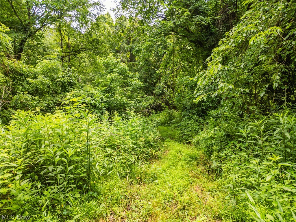 Taylor Road Cambridge, OH 43725 - Photo 14 of 48
