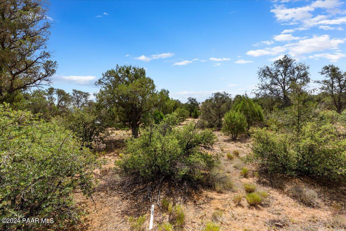 5040 Indian Camp Road, Unit 4 Prescott, AZ 86305 - Photo 49 of 57 49-Backyard