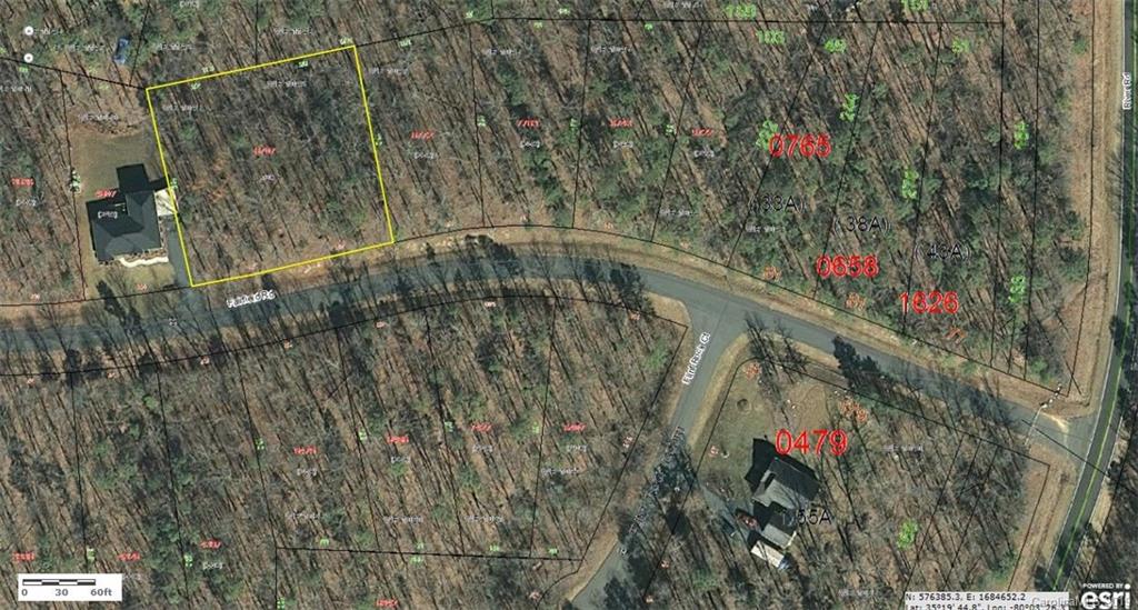 1877 Fairfield Road Mount Gilead, NC 27306 - Photo 6 of 11