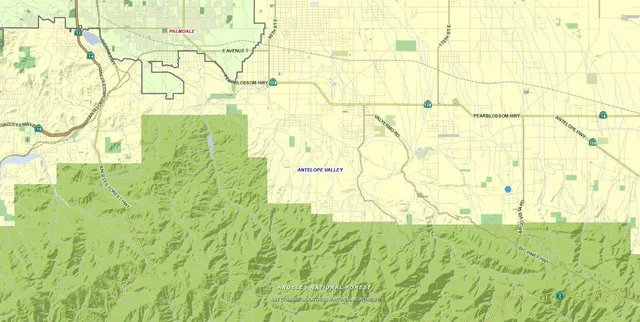 a bathroom with a shower curtain