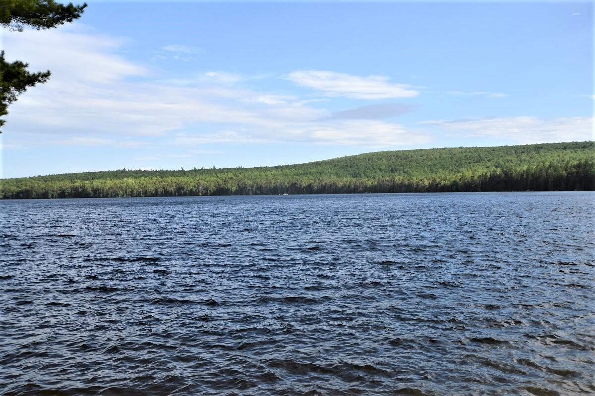 Lot#11 Basin Road Burlington, ME 04417 - Photo 46 of 50 Recreational trail access...