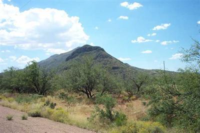 355 Via Naranja Rio Rico, AZ 85648 - Photo 4 of 7