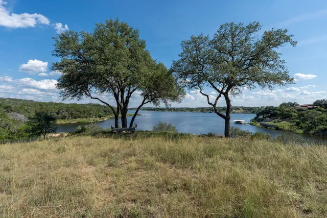a view of a lake with a tree