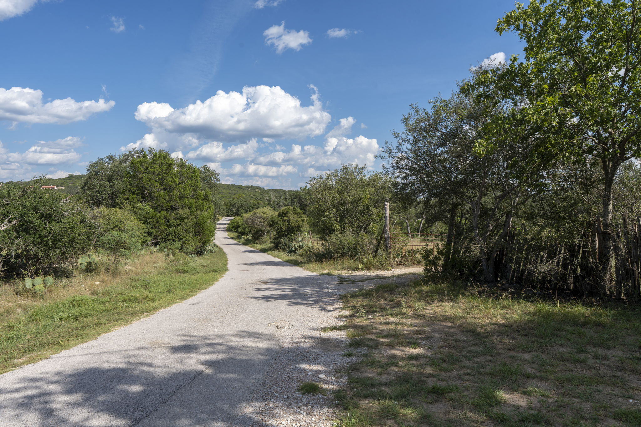 Tbd Singleton Road Marble Falls, TX 78654 - Photo 35 of 40 a view of a yard with plants and a large tree