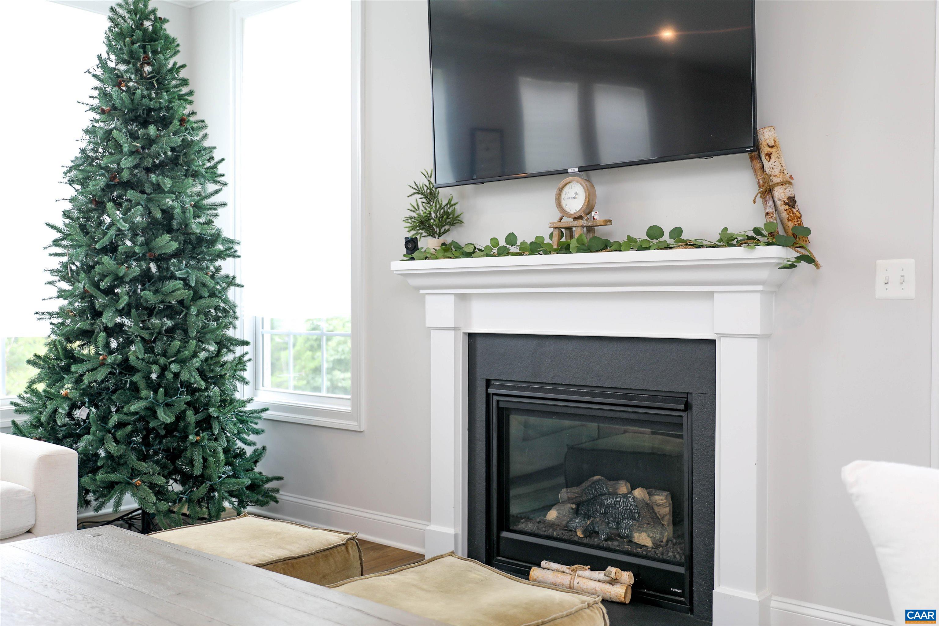 2483 Ferndown Lane Keswick, VA 22947 - Photo 20 of 54 a living room with a fireplace in it