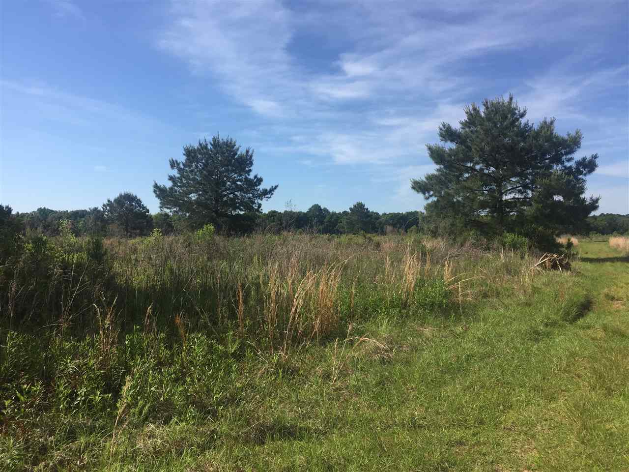 14300 Marion Weeks Lane Foley, AL 36535 - Photo 2 of 5 Land