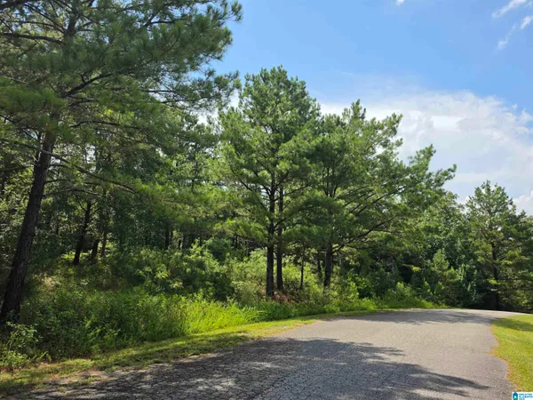 $32,900 | Hickory Hill Road, Unit 3, Centreville, AL 35042