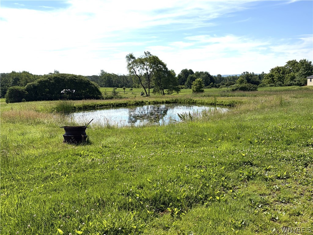 6103 Curriers Road Arcade, NY 14009 - Photo 3 of 30 Pond