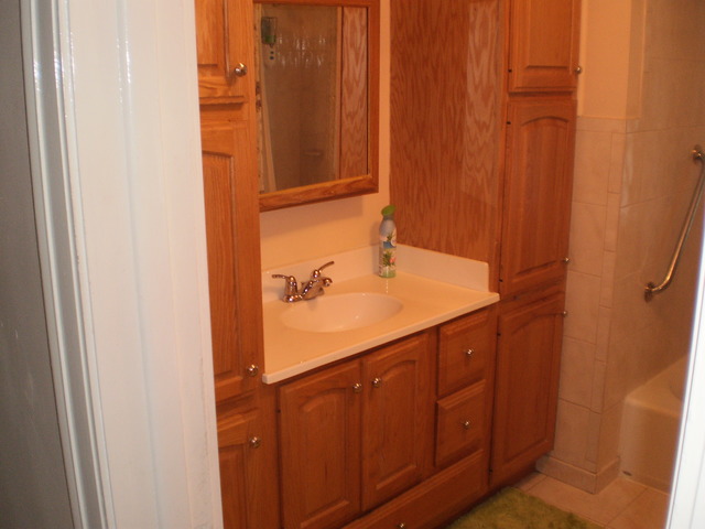 197 Longcommon Road Riverside, IL 60546 - Photo 12 of 25 a bathroom with a sink and a mirror