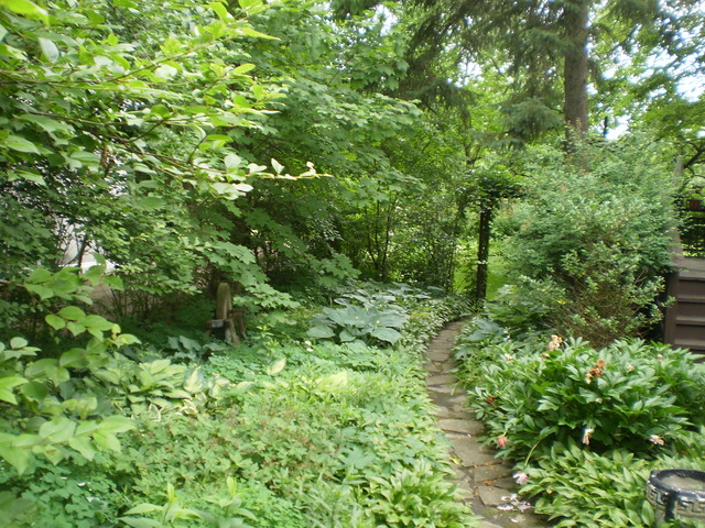 197 Longcommon Road Riverside, IL 60546 - Photo 21 of 25 a view of a lush green forest