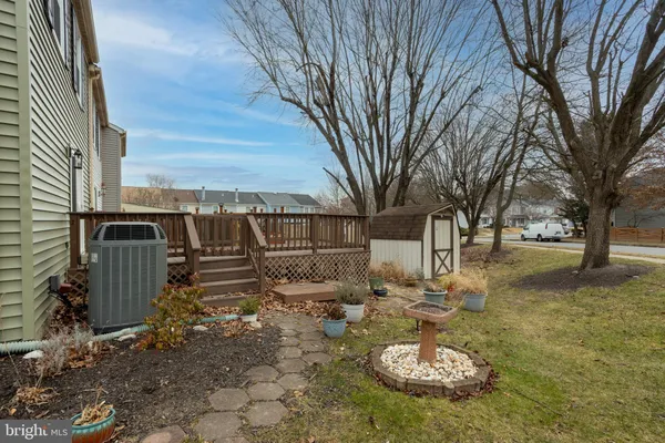 a view of a backyard with large trees