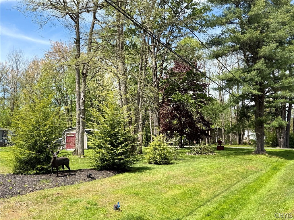1460 Lamoy Road Sullivan, NY 13082 - Photo 15 of 15