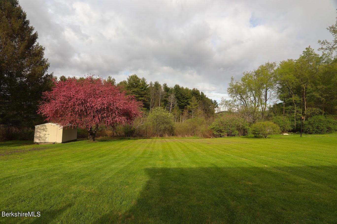 82 Oak Hill Road Pittsfield, MA 01201 - Photo 5 of 29 Back Yard